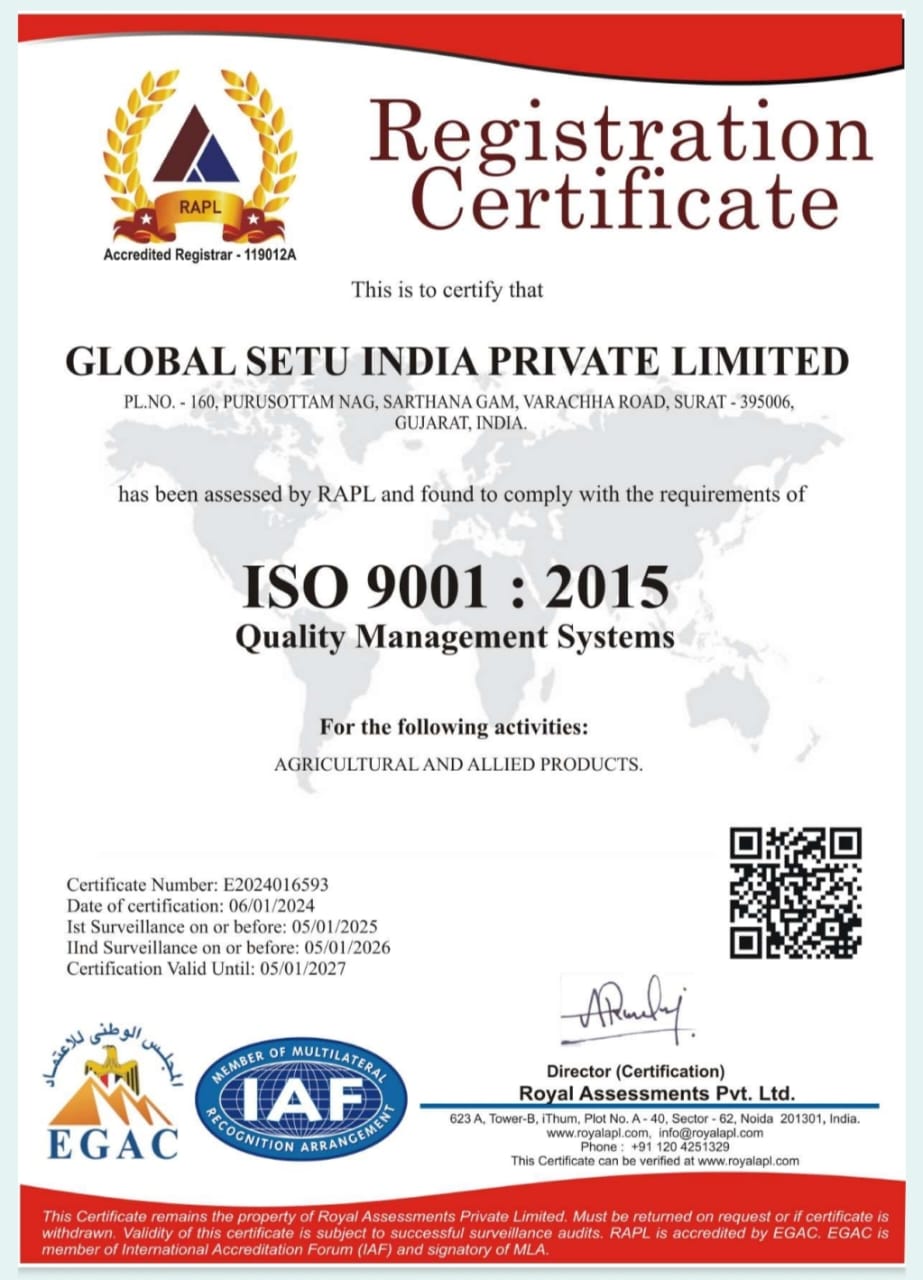 ISO Certificate